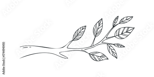 Hand drawn branch with leaves outline graphic