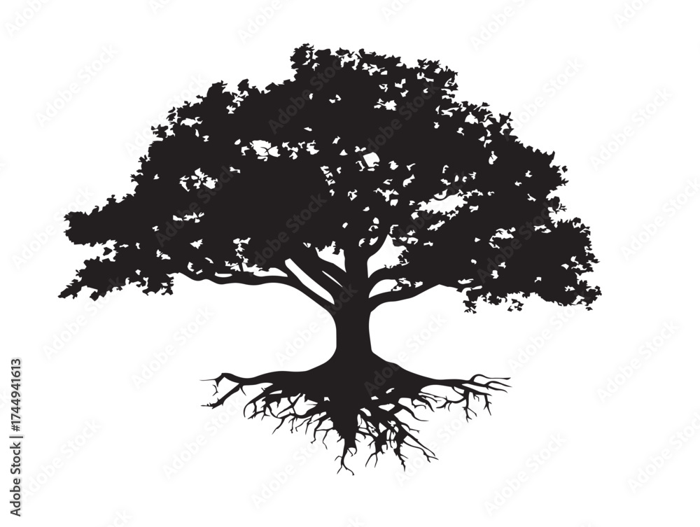 Fototapeta premium Classic old tree with extensive roots for heritage branding