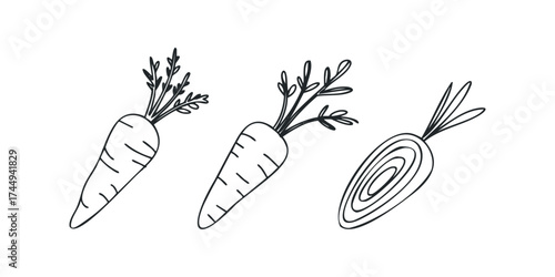 Three hand-drawn carrots with green tops on white