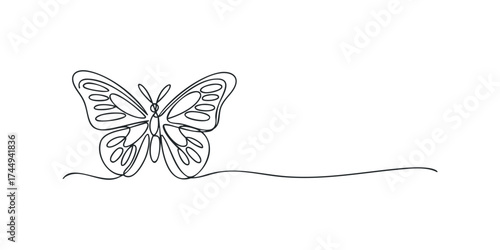 Single line drawing of a butterfly with open wings