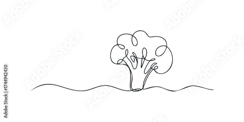 Minimalist single line drawing of broccoli in a field