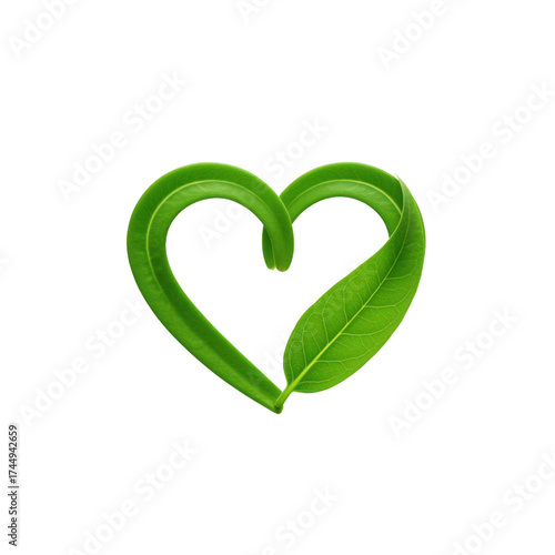 Green Leaves Forming Heart Shape on Black Background
