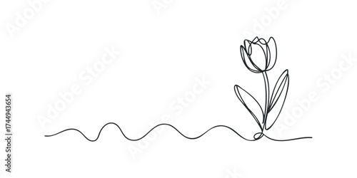 Continuous Line Drawing of a Single Tulip with Stem and Leaves