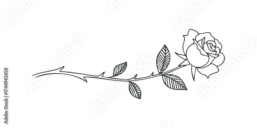 Line art rose with thorny stem and leaves