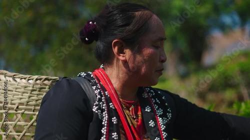 Traditional Asian lahu farmer carefully picking ripe tea leaves while working on a plantation near trees and mountains