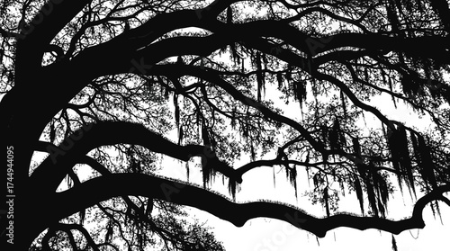 Tree silhouette with moss, Spanish Moss, botanical art, nature design, peaceful atmosphere, black illustration, forest print, serene, hanging strands