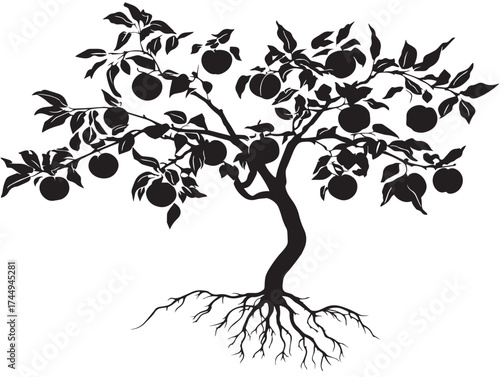 Blossoming peach tree with healthy roots vector illustration