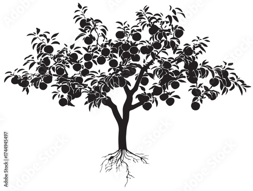 Delicate peach tree with roots in a solid black silhouette