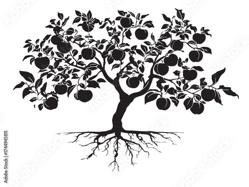 Elegant Peach Tree with Deep Roots 2D Vector Line Art