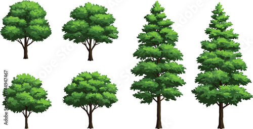 Different tree illustrations, broad canopy, conical shape, green foliage, landscape design, botanical drawing, garden planning, nature pattern, environmental study, vector set