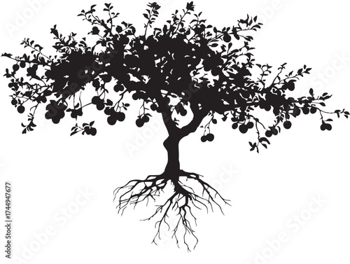 Beautiful Plum Tree Silhouette with Root System 2D Vector Illustration