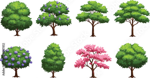 Different tree illustrations, flowering trees, green foliage, pink blossoms, purple flowers, conical tree, landscape design, botanical drawing, garden planning, vector set