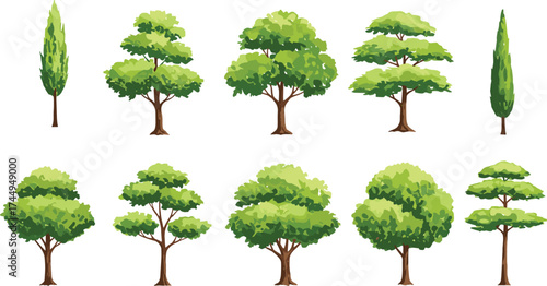 Ten different tree illustrations, conifer trees, deciduous trees, green foliage, broad canopy, landscape design, botanical drawing, garden planning, nature pattern, vector set