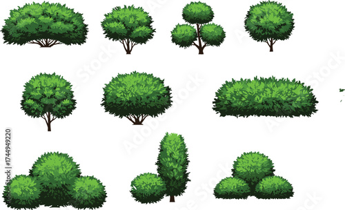 Ten bush illustrations, green shrubs, hedge design, foliage textures, rounded bushes, conical shrubs, garden plants, landscape design, botanical drawing, vector set