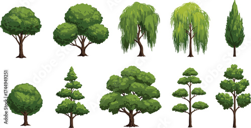 Ten different tree illustrations, green foliage, pink blossoms, purple flowers, conifer tree, layered canopy, landscape design, botanical drawing, garden planning, vector set