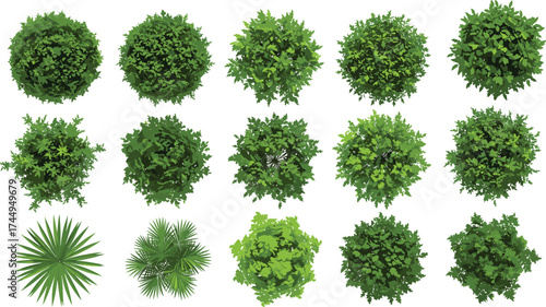 Top view green plants, tree foliage icons, palm leaves, landscape design, botanical illustration, garden planning, nature pattern, architecture visualization, vector set