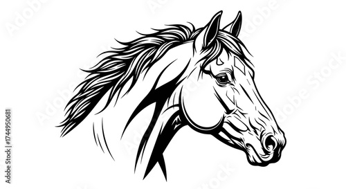 Elegant horse head line art sketch on white background.