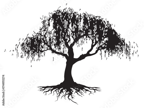 Detailed Willow Tree With Roots 2D Vector Line Art Nature Silhouette Illustration