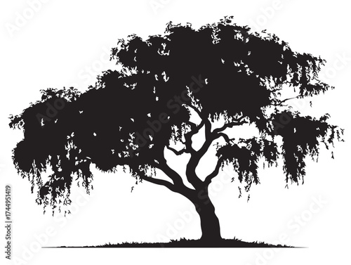 Artistic Willow Tree By Riverbank 2D Vector Line Art Silhouette Illustration