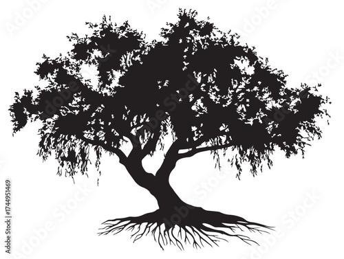 Calm Riverbank Willow Tree With Roots 2D Vector Line Art Silhouette Artwork