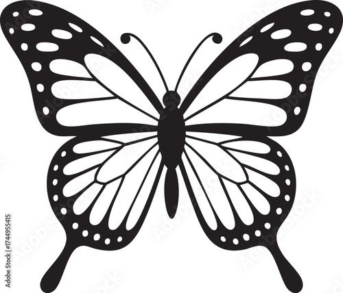 Black and white butterfly vector illustration on white background