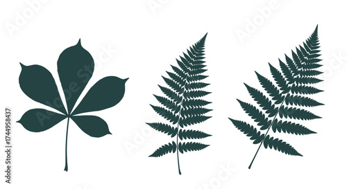 Diverse botanical leaf silhouettes showcasing organic natural shapes and intricate natural patterns.