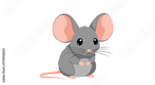 A cute grey mouse with large ears sits patiently looking forward its eyes wide open.