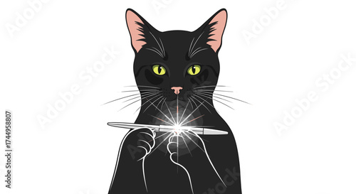 A clever black cat intently focuses on a spinning object with remarkable concentration.