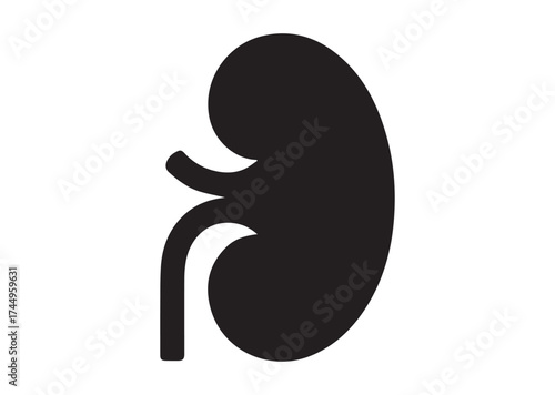 Kidney icon, Kidney solid vector design