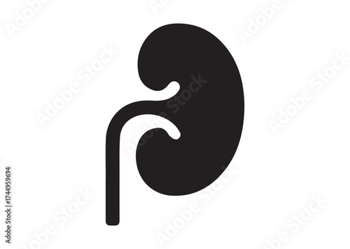 Kidney icon, Kidney solid vector design