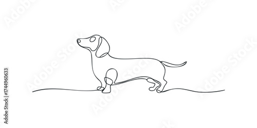 Minimalist continuous line drawing of a dachshund dog