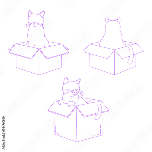 Line Art Illustration of Cat Sitting in Box