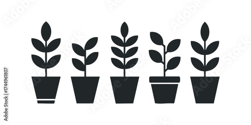 Five Simple Potted Plants Silhouettes