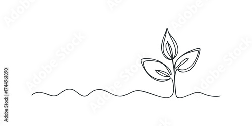Single line drawing of growing plant seedling on white background