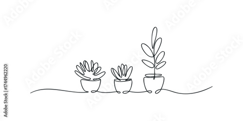 Continuous Line Drawing of Potted Succulent Plants