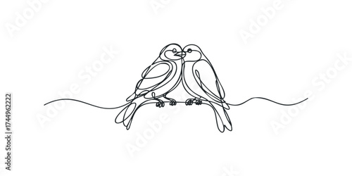 Two birds perched close together on a wire