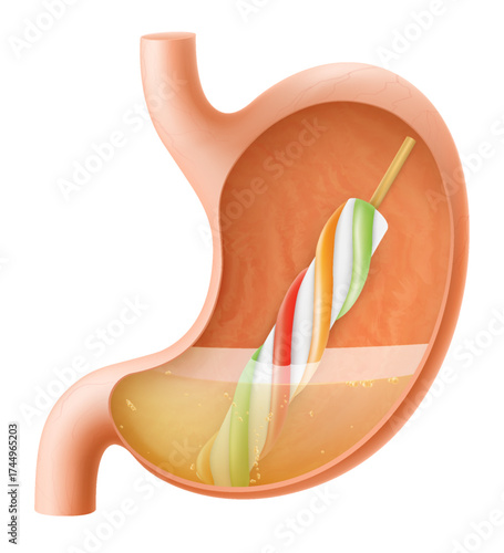 Human Stomach with popsicle ice cream. The stomach digests ice cream. A stomach with Ice cream frozen juice on stick. Delicious sweet food. Realistic 3d Vector illustration. Food digestion process.