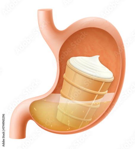 Human Stomach with vanilla ice cream in a waffle cup. The stomach digests ice cream. A stomach filled with delicious sweet food. Realistic 3d Vector illustration. Food digestion process.