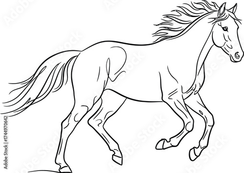 Horse line art drawing outline vector illustration design