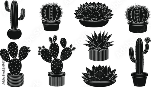 Collection of black and white cactus and succulent plants vector