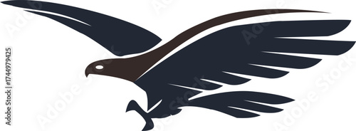 Modern Eagle Logo Design, Soaring Hawk Brand Identity, Corporate Vector Icon