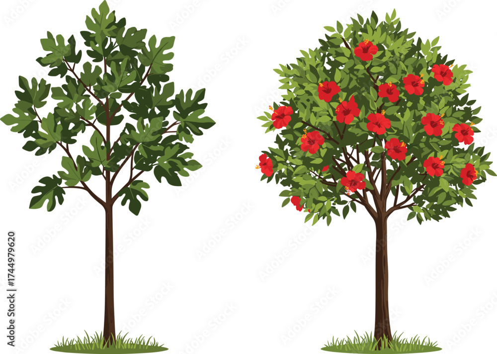 Fototapeta premium Green leafy tree, red flowering tree, foliage and bloom contrast, seasonal diversity, nature scene, garden landscape, outdoor flora, botanical beauty