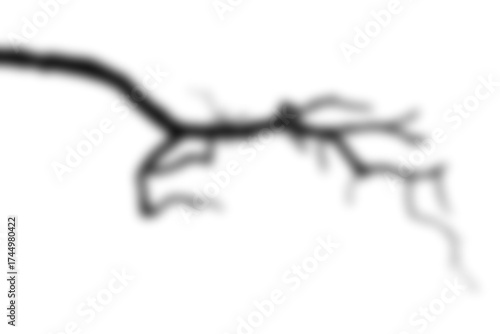 shadow overlay of a spooky tree branch