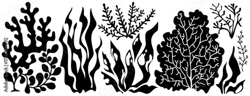 Black coral silhouettes with seaweed and organic underwater flora for ocean design. Marine botanical shapes with kelp fronds, sea plants and reef textures. Aquatic nature elements for diving graphics.