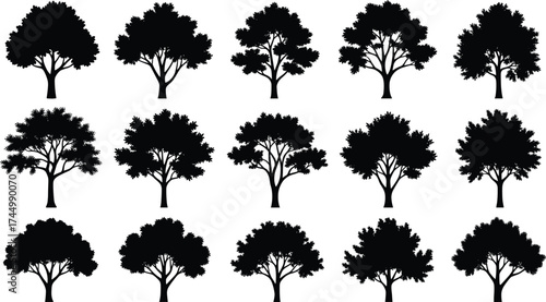 Tree silhouettes collection, diverse foliage vector set, botanical icons, black tree graphics, woodland illustration, landscape design elements, nature artwork