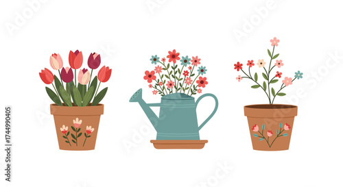 A collection of potted plants with colorful flowers and a watering can.