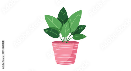 A potted plant with green leaves in a pink pot.
