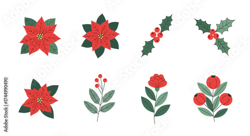 A collection of various festive floral and berry elements.