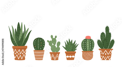A collection of various potted succulents and cacti in decorative clay pots.