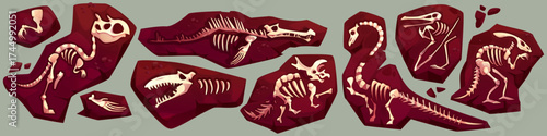 Ancient dinosaur fossil skeleton fragments embedded in brown stone slabs for archeological discovery. Tyrannosaurus, pterodactyl and stegosaurus bones in soil. Paleontology excavation finds for museum